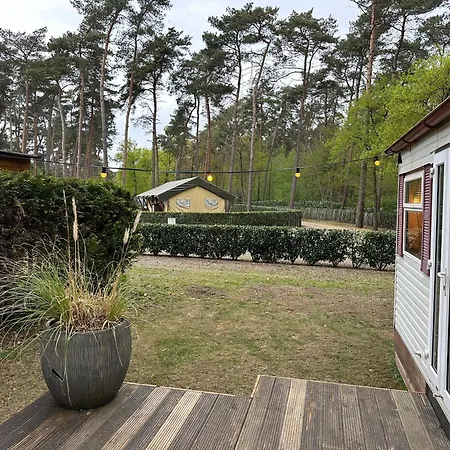 Tibi Bocholt